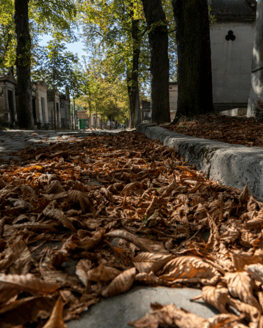Brown leaves gather by the curb in an old cemetery, amongst ancient headstones.