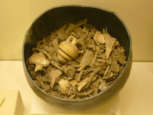 ancient cremated human remains in a vessel