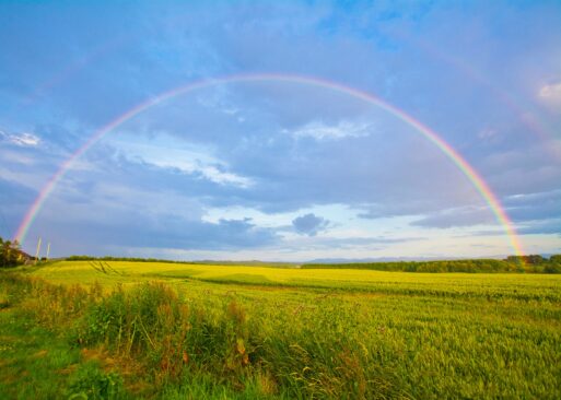 field with a rainbow for the song somewhere over the rainbow a popular memorial song