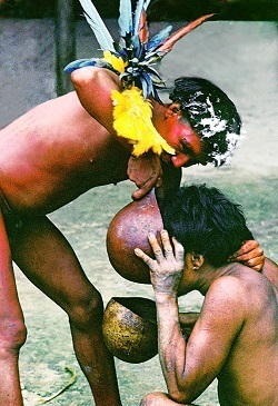 Yanomami Death Ritual of Endocannibalism - SevenPonds BlogSevenPonds Blog