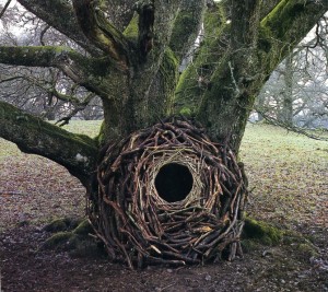 Artist Andy Goldsworthy's Brother Suffered the Death of His Beloved ...