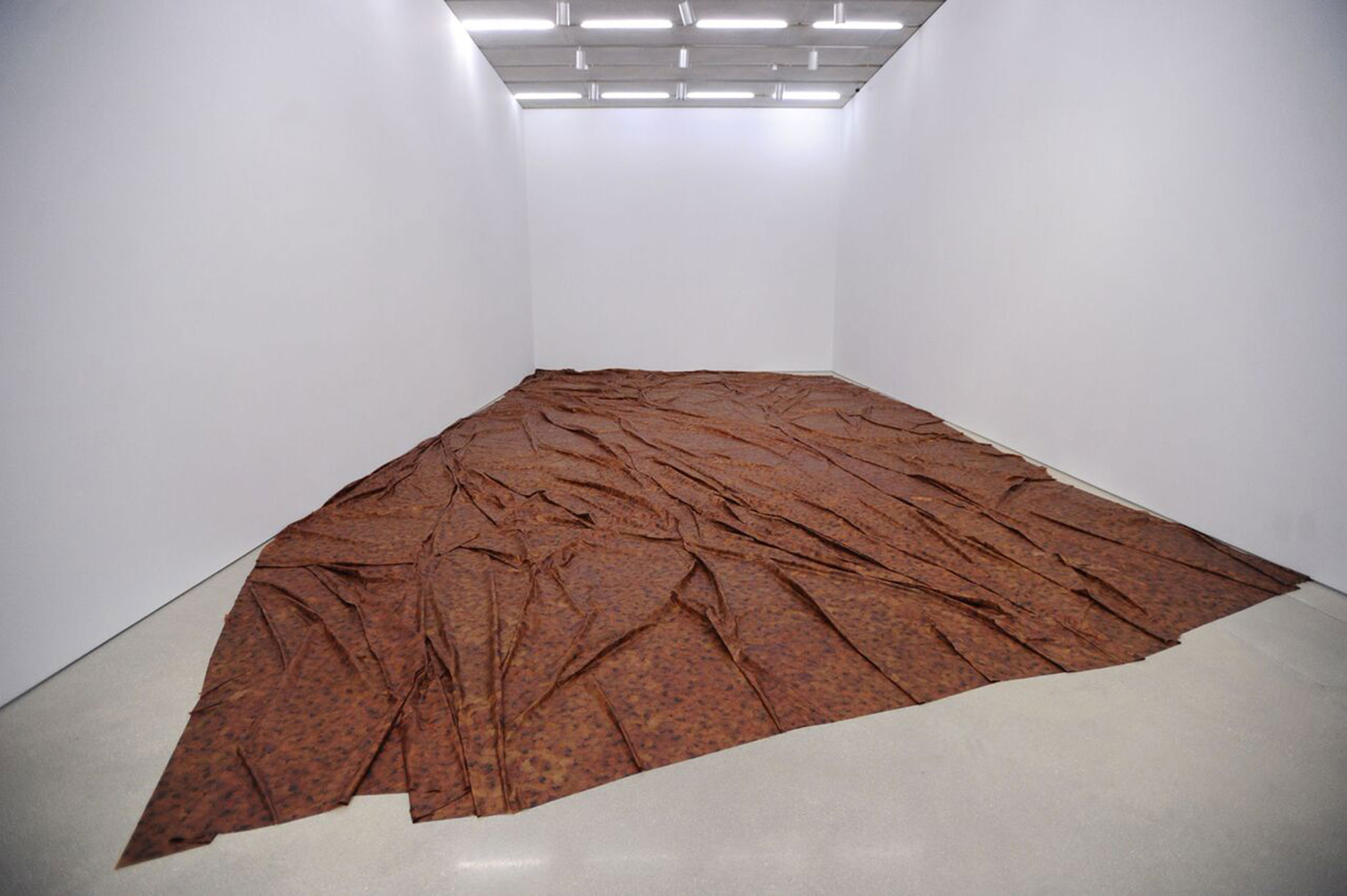 Doris Salcedo The Materiality of Mourning 