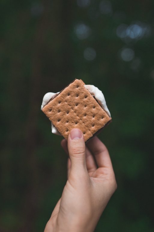 hand holding s'mores
